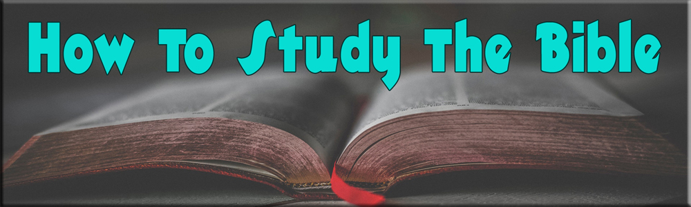 Lance McClintock How To Bible Study