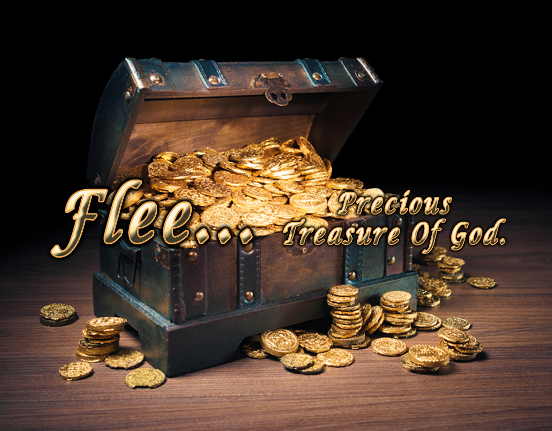 Precious Treasure Of God : Flee - Lance McClintock